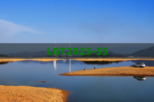 LGT2023-55