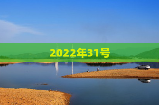 2022年31号