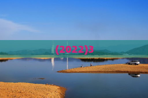 (2022)3
