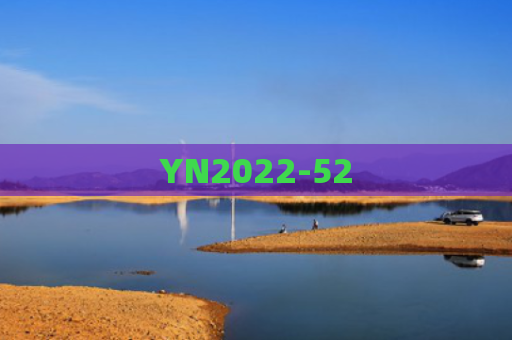 YN2022-52