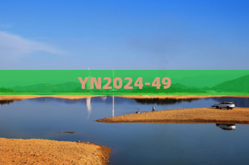 YN2024-49