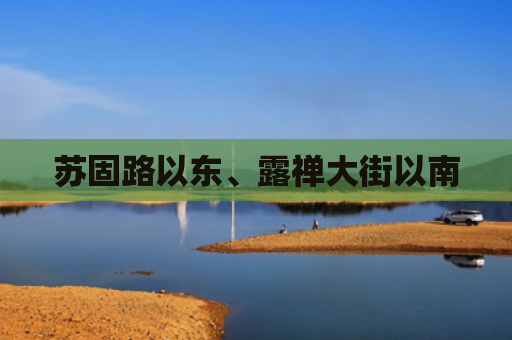 苏固路以东、露禅大街以南