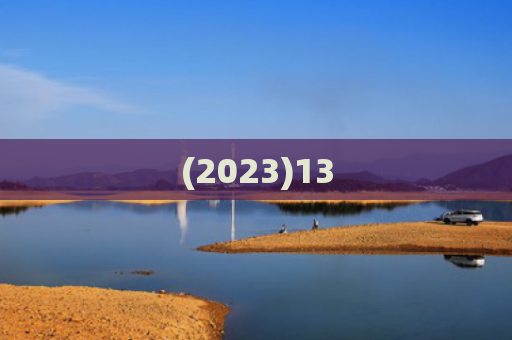 (2023)13