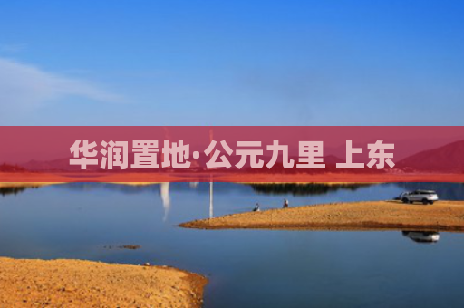华润置地·公元九里 上东