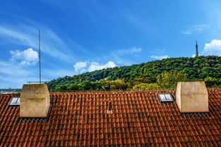 合江房屋出租，探索城市绿洲中的温馨家园