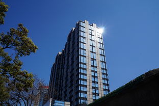 北京二手房市场分析，链家的角色与影响