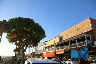 抚顺租房网，探索抚顺租房市场，找到您的理想之家