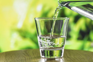 饮水器，现代家庭的必备健康伴侣